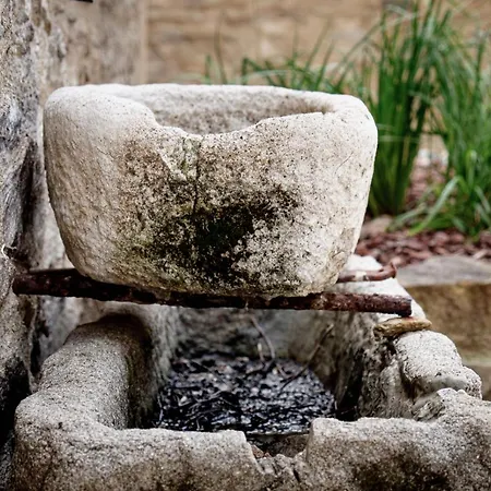 Domaine Du Conte Bleu Bed & Breakfast Sainte-Gemme (Tarn)