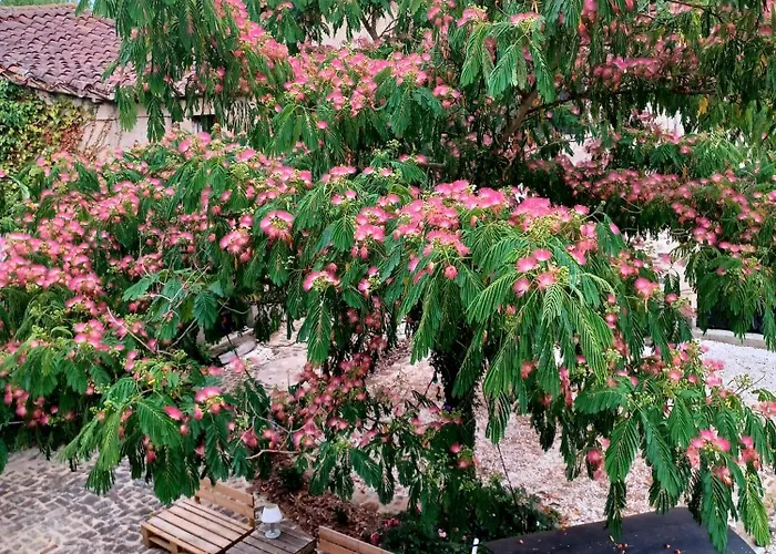 ベッド・アンド・ブレックファスト Domaine Du Conte Bleu